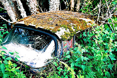 Rust never sleeps - Citroen DS Dach