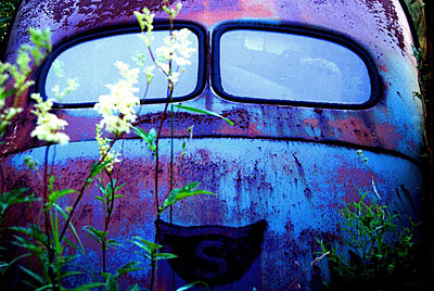 Rust never sleeps - Sleepin-Beauty-01