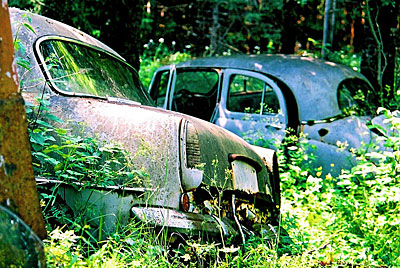 Rust never sleeps - Sleping-Beauties-04