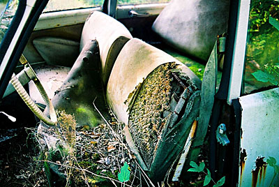 Rust never sleeps- Citroen-DS-Innenausstattung