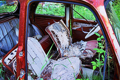 Rust never sleeps - Ford-Prefect