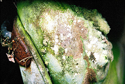 Rust never sleeps - Reste eines Ledersitzes