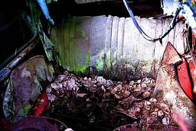 Rust never sleeps - Rücksitzbank