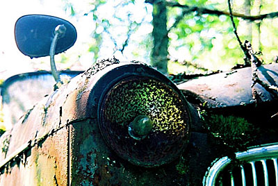 Rust never sleeps - Sleeping Beauty 6