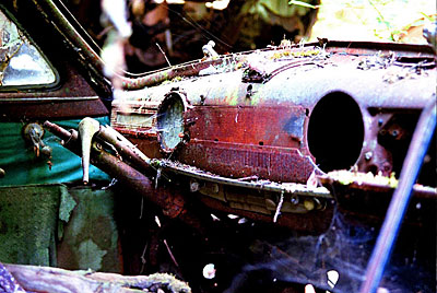 Rust never sleeps - Sleeping Beauty 9