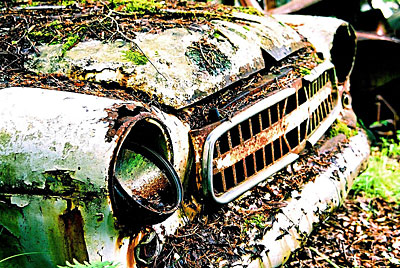 Rust never sleeps - Wartbug Isabella