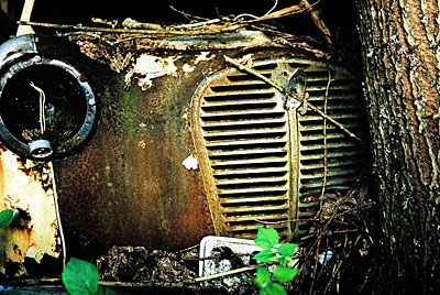 Rust never sleeps - Austin A35 am Baum