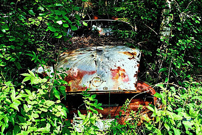 Rust never sleeps - F1050023