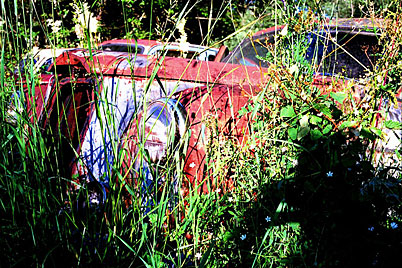 Rust never sleeps - Mercedes Ponton