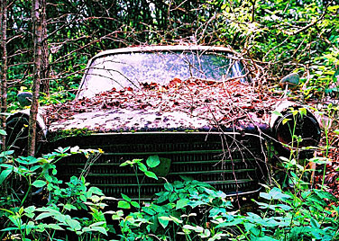 Rust never sleeps - Peugeot 404