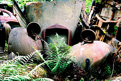 Rust never sleeps - Sleeping Beauty 9