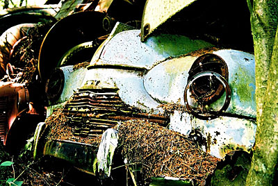 Rust never sleeps - Standard Vanguard