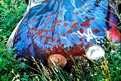 Rust never sleeps - Renault Dauphine