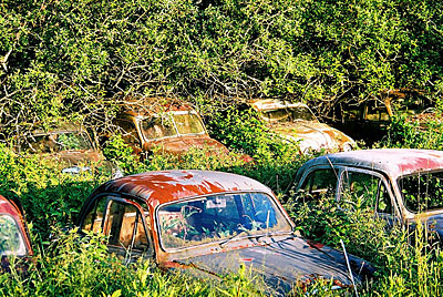 Rust never sleeps - Oldtimer Schrottplatz 3