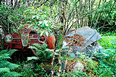 Rust never sleeps - Saab 96