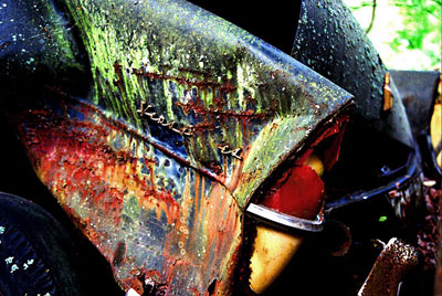 Rust never sleeps - Heckflosse Versailles